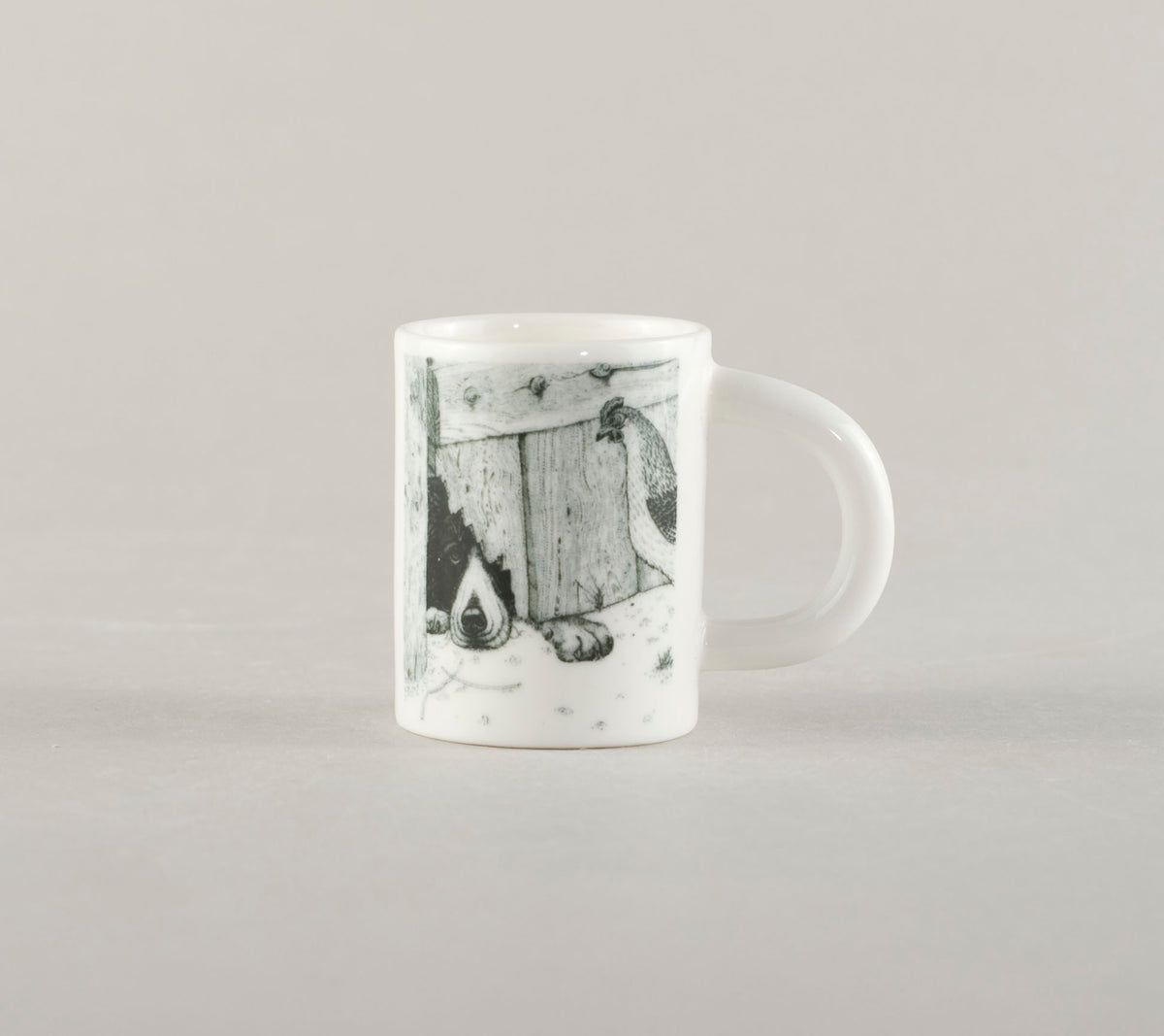 S1. Suns zem sētas
