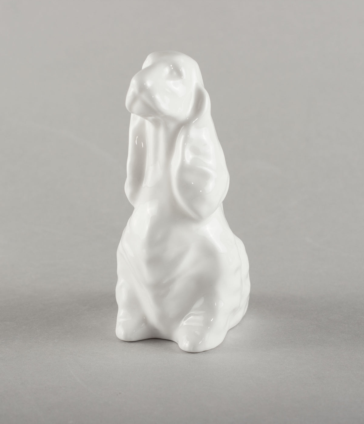 Porcelāna suns basets